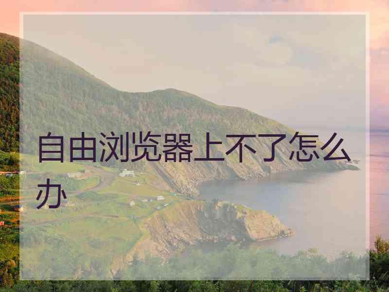 自由浏览器上不了怎么办