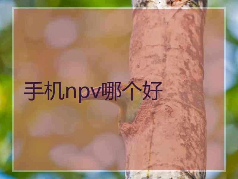 手机npv哪个好