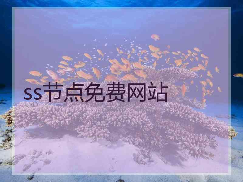 ss节点免费网站