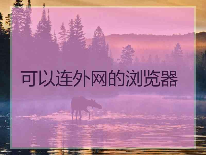 可以连外网的浏览器